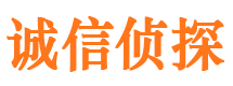 淮上侦探公司